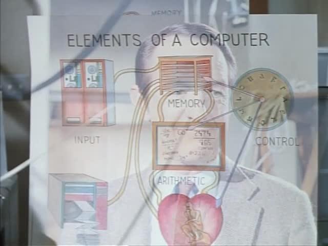 Biological metaphors are used to explain the functioning of a computer