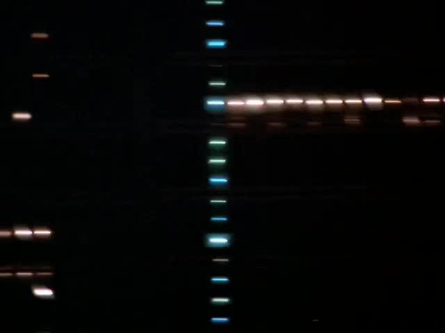 Two supercomputers invent an "intersystem language"