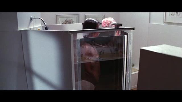 Demon Seed supercomputer as voyeur