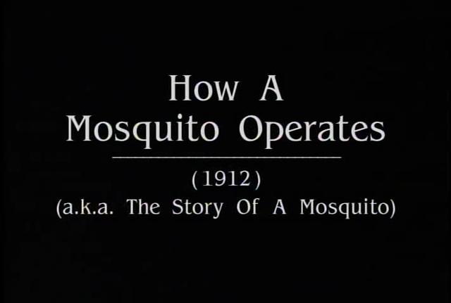 How a Mosquito Operates